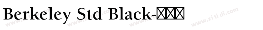 Berkeley Std Black字体转换